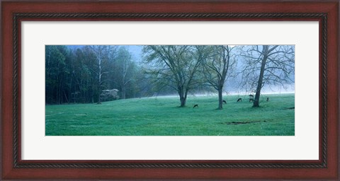 Framed Foggy Morning and Deer Print