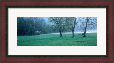 Framed Foggy Morning and Deer Print