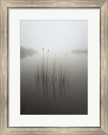 Framed Reeds in the Mist Print