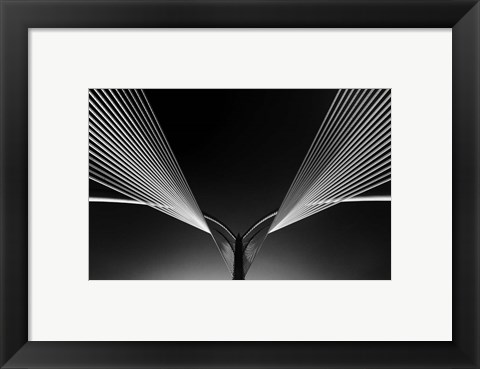 Framed Wings Print