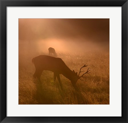 Framed Light Means Everything Print