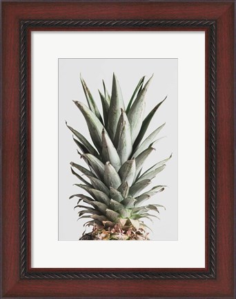 Framed Pineapple Natural 2 Print