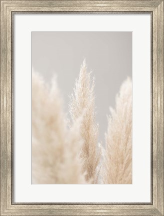 Framed Pampas Grass Grey 4 Print