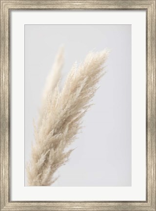 Framed Pampas Grass Grey 7 Print