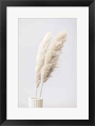 Framed Pampas Grass Grey 11 Print