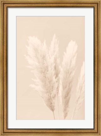 Framed Pampas Grass Beige 2 Print