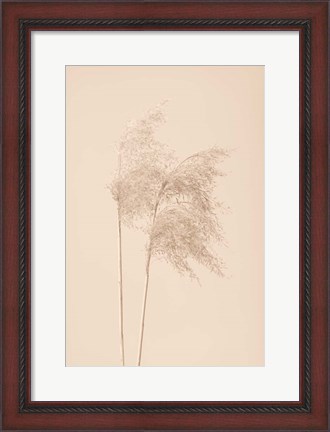 Framed Reed Grass Beige 2 Print
