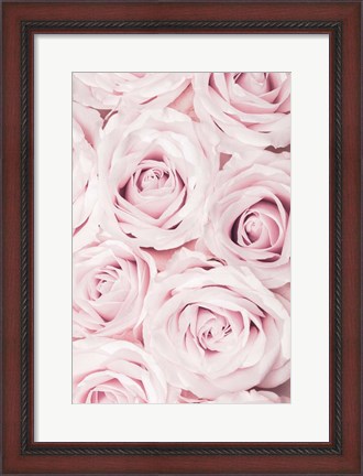 Framed Pink Roses No 2 Print