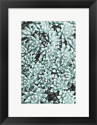 Framed Plant Print