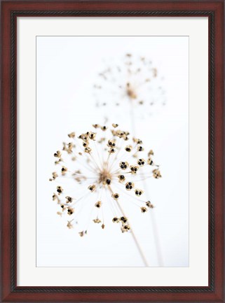 Framed Dried Flower 2 Natural Print