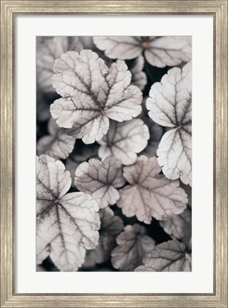 Framed Gray-pink Leaves Print