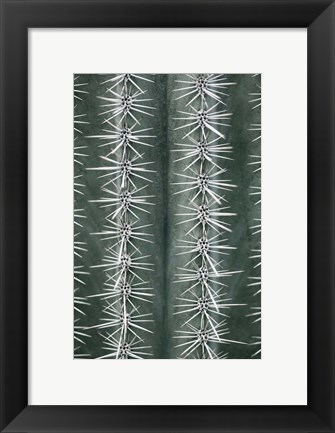 Framed Cactus Green Print
