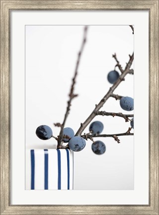 Framed Berries Blue Print