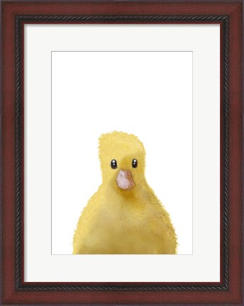 Framed Duck Print