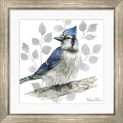 Framed Backyard Birds I-Blue Jay Print