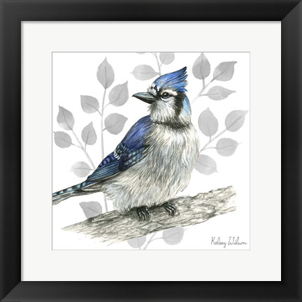 Framed Backyard Birds I-Blue Jay Print