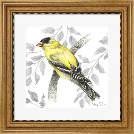 Framed Backyard Birds IV-Goldfinch II Print