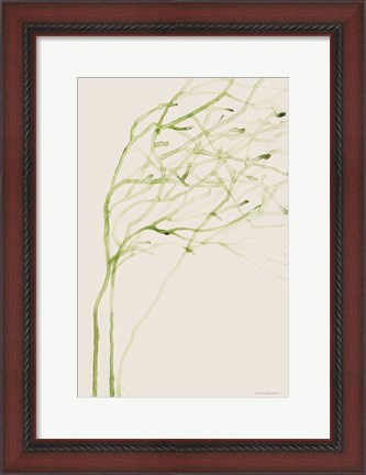 Framed Thistle and Thatch Print