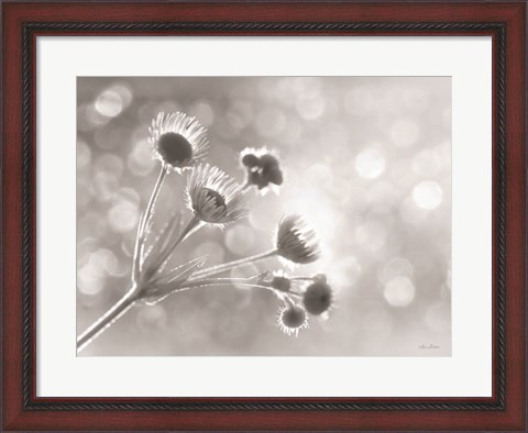 Framed Wild Flowers I Print