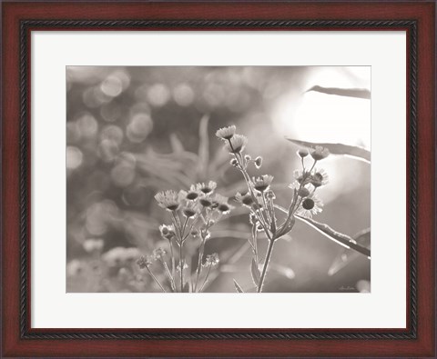 Framed Wild Flowers III Print