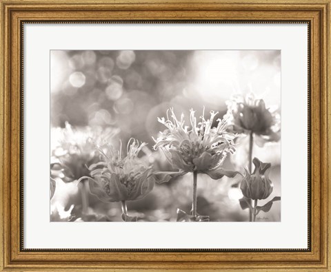 Framed Wild Flowers IV Print