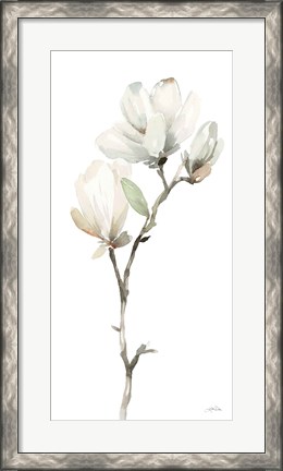 Framed White Magnolia II Print