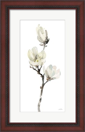 Framed White Magnolia I Print