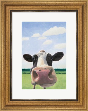 Framed Funny Cow Print