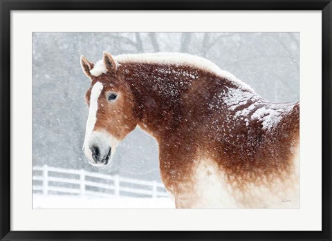 Framed Snowy Draft Horse Print