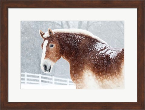 Framed Snowy Draft Horse Print
