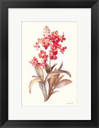 Framed Autumn Orchid I Print