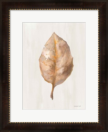 Framed Fallen Leaf II Texture Print