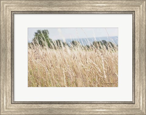 Framed Summer Field I Print