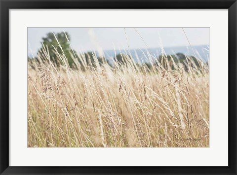 Framed Summer Field I Print