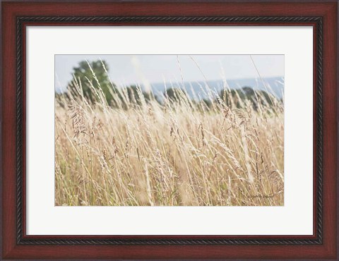 Framed Summer Field I Print