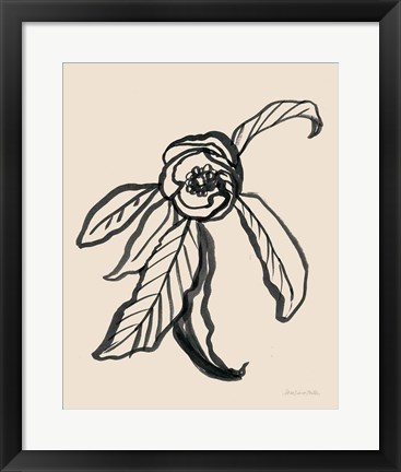 Framed Ink Sketch Flower Print