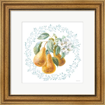 Framed Blooming Orchard IV Print