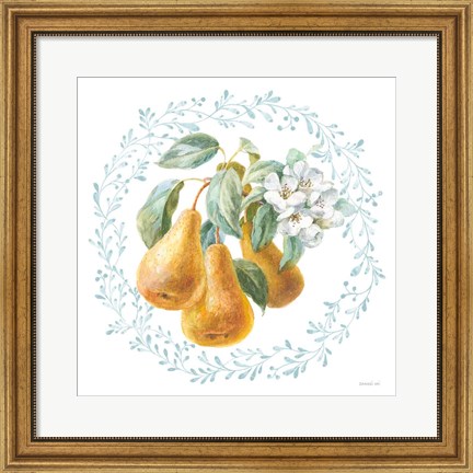 Framed Blooming Orchard IV Print