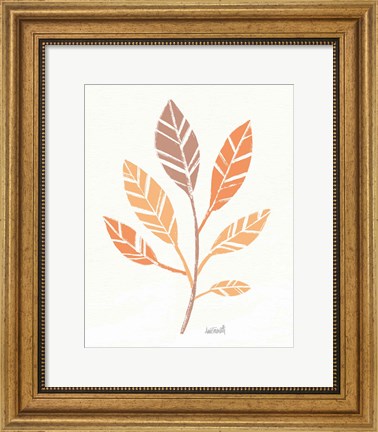 Framed Botanical Sketches III Spice Print