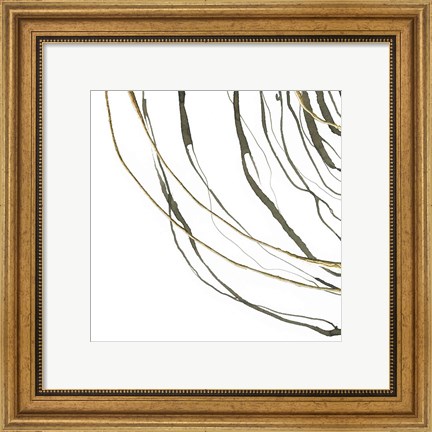 Framed Not Quite Concentric III Print