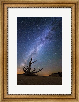Framed Bristlecone Milky Way Bryce Print