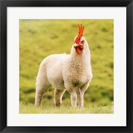 Framed Chickensheep Print