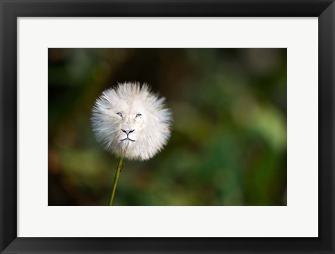 Framed Dandelion Print