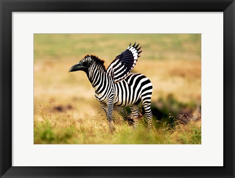 Framed Zebra Zaaven Print