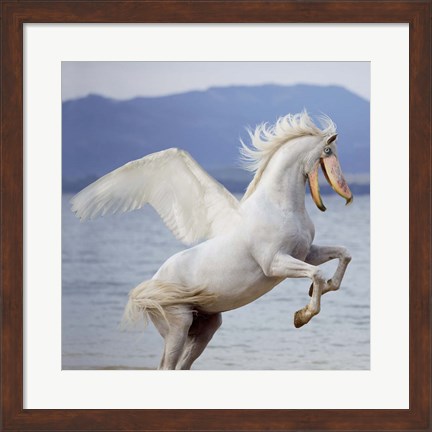 Framed Shoebill Horse Print