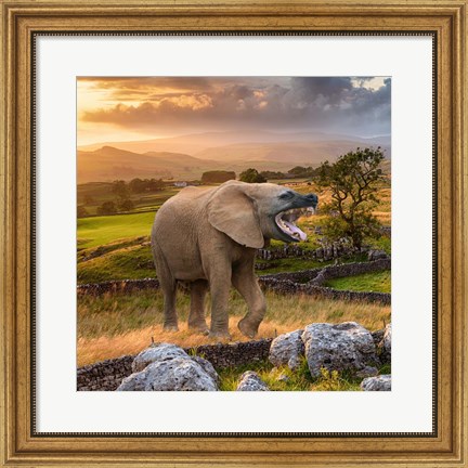 Framed Hyenaphant Print
