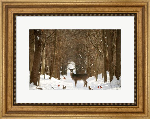 Framed Forest of Snow White Print