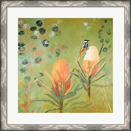 Framed New Holland Honeyeater upon the Victoria Print