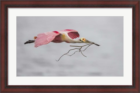 Framed Pink and Grey Print