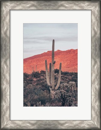 Framed Sunsets and Saguaros I Print